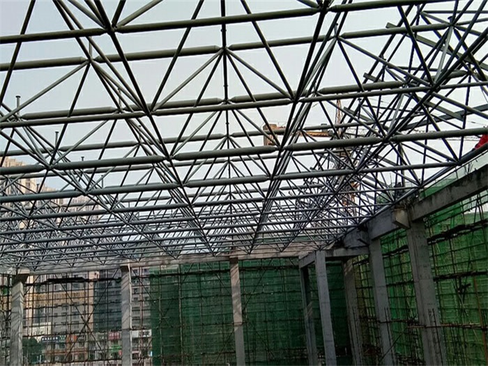 虎林光谷第十一小学网架